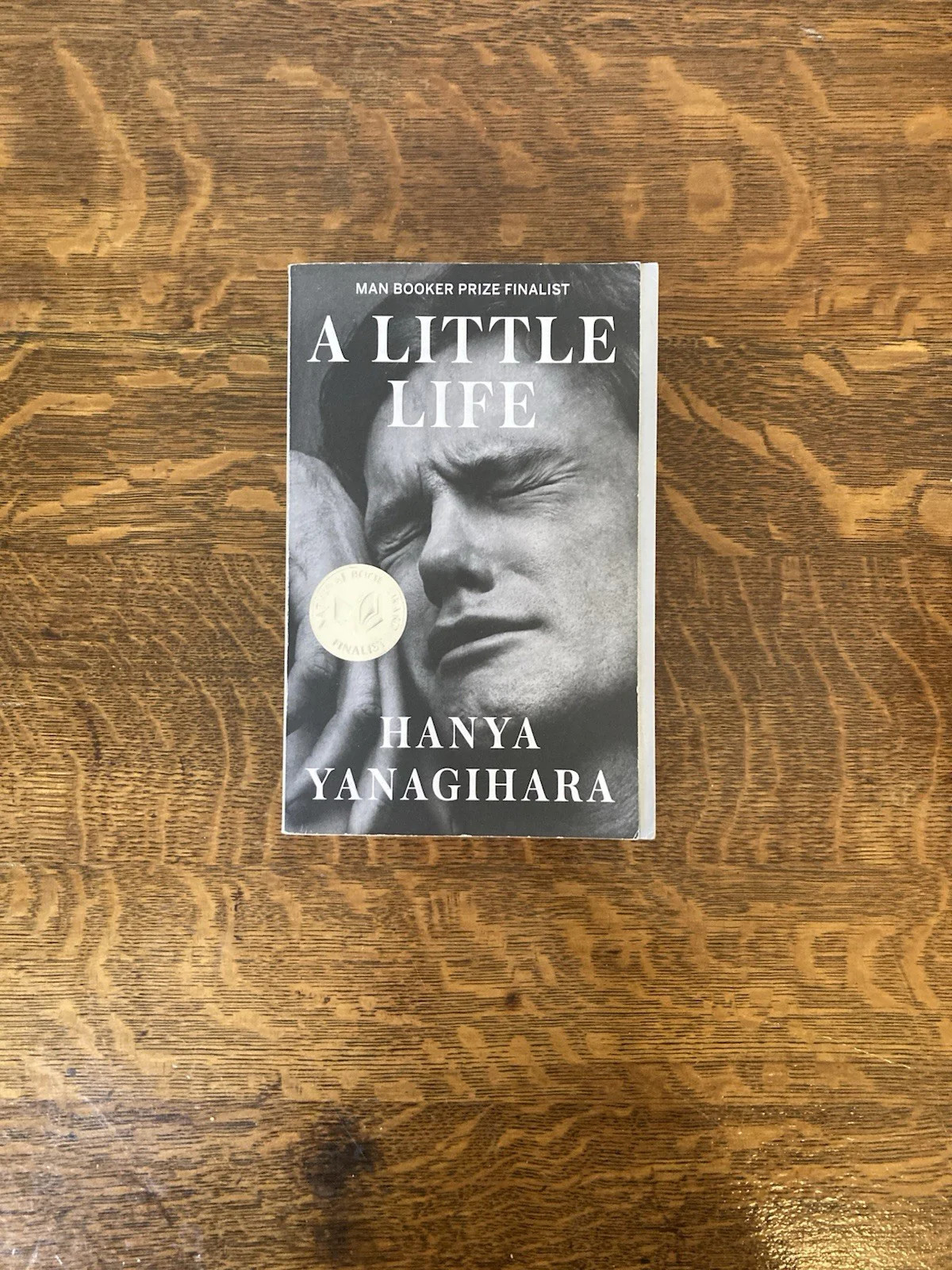 A Little Life by Hanya Yanagihara. Anchor Books. Later printing.
