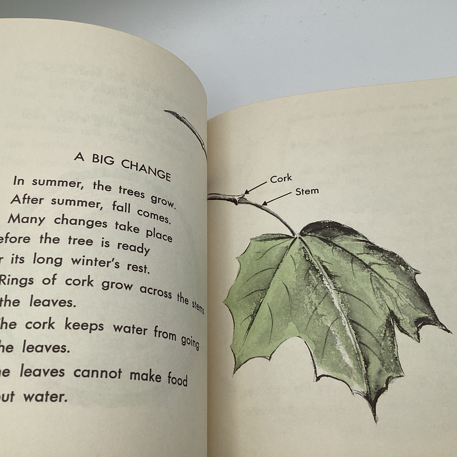 WHAT IS A TREE (The What Is It Series) by Gene Darby, Benfic Press, 1962