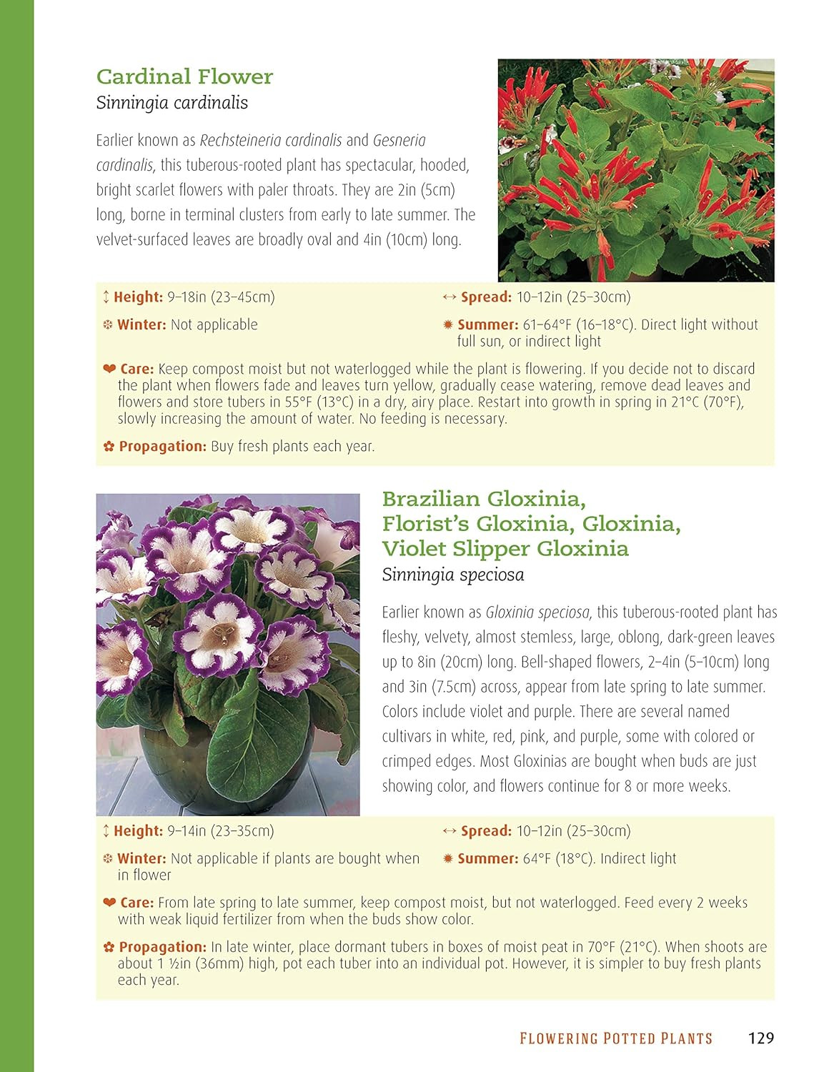 Houseplant Handbook: Basic Growing Techniques and a Directory of 300 Everyday Ho