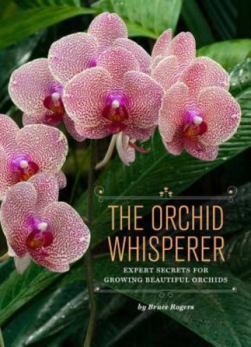 The Orchid Whisperer: Expert Secrets for Growing Beautiful Orchids – VERY GOOD