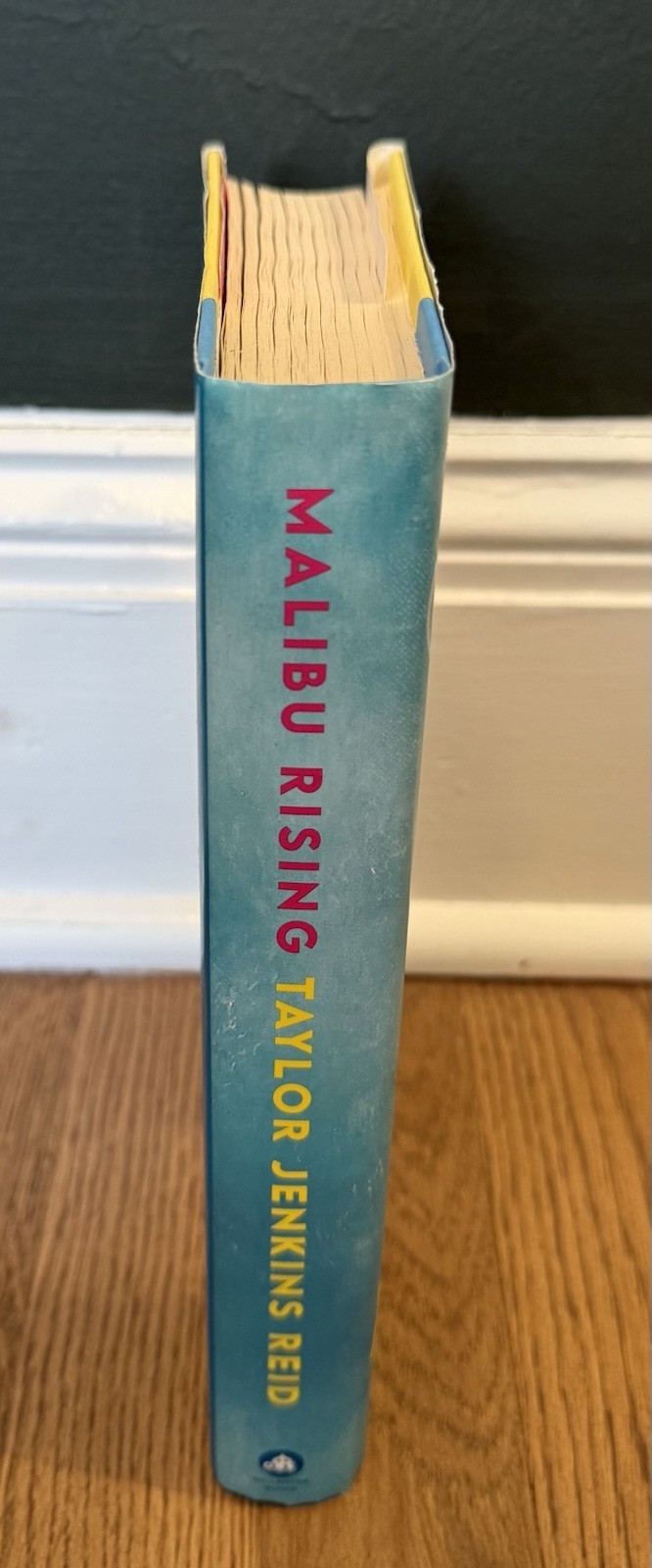 Malibu Rising A Novel By Taylor Jenkins Reid (Hardcover) Good Condition, 2021