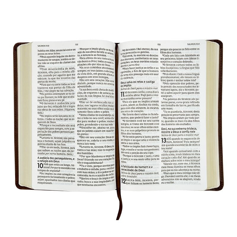 Biblia Sagrada: ACF – Capa: Couro Soft – Letra: Grande (Em Portugues do Brasil)