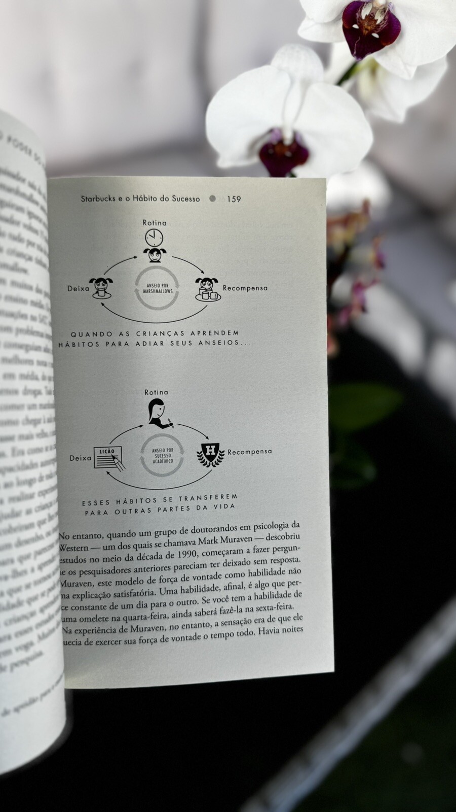 Poder do Habito (Em Portugues do Brasil) – Charles Duhigg