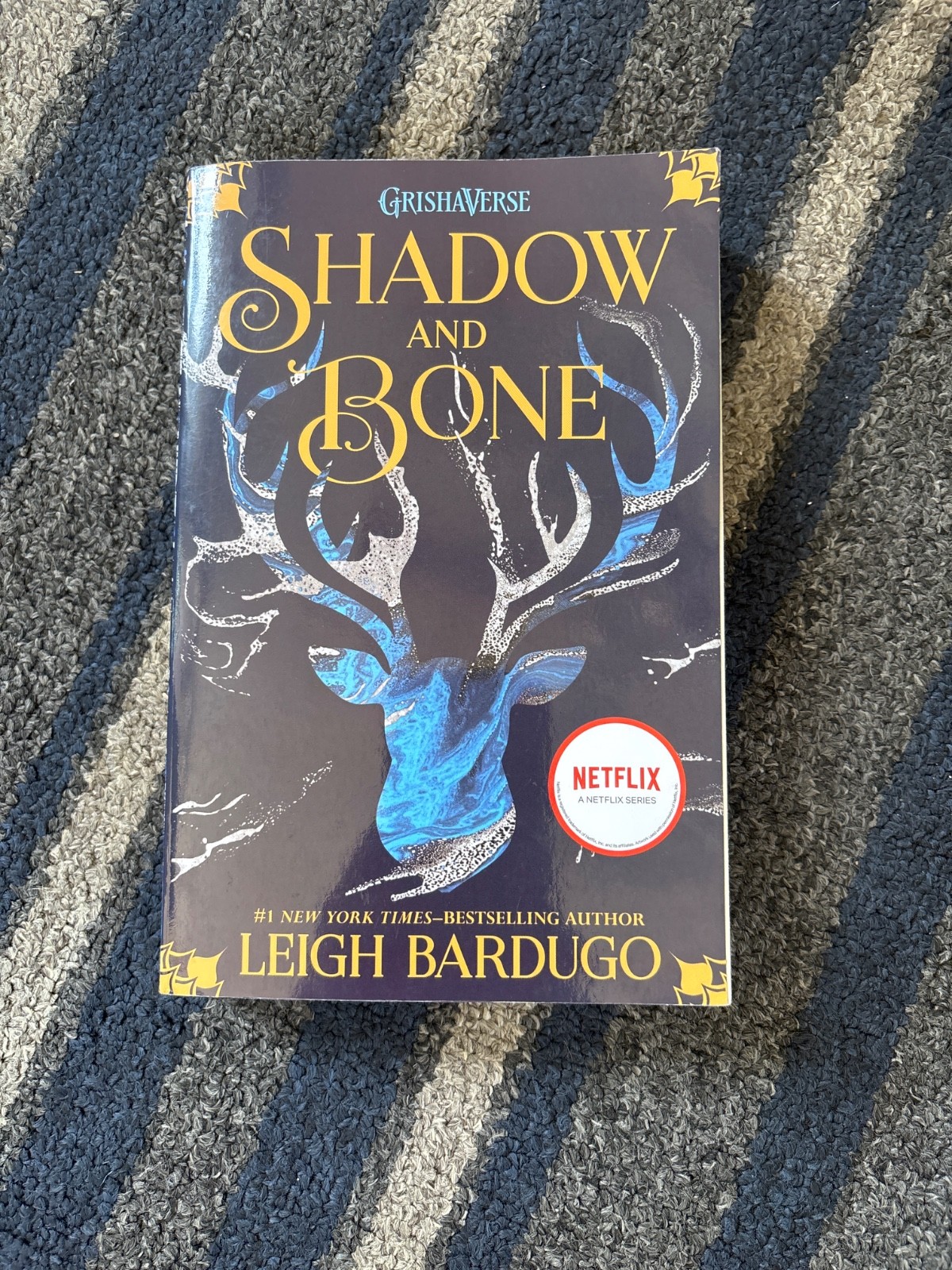 Shadow and Bone (The Grisha Trilogy) – Paperback By Bardugo, Leigh – VERY GOOD