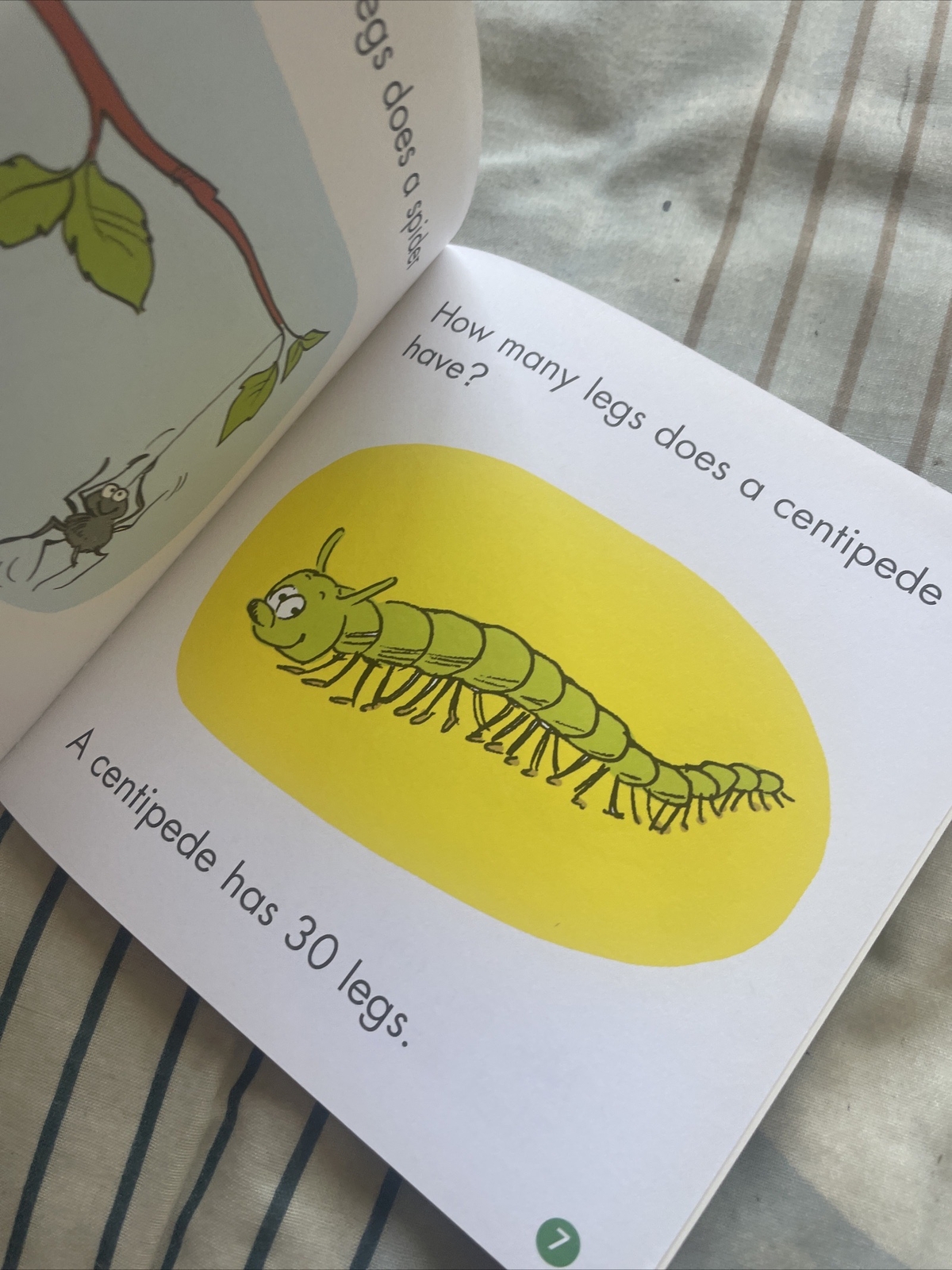 FIRST LITTLE READERS, LIZ CHARLESWORTH, LOTS OF LEGS, 14 by 14CM