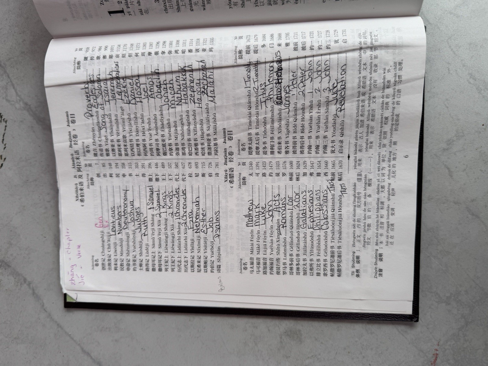 New World Translation Holy Scriptures Chinese Simplified (PINYIN) Watch Tower