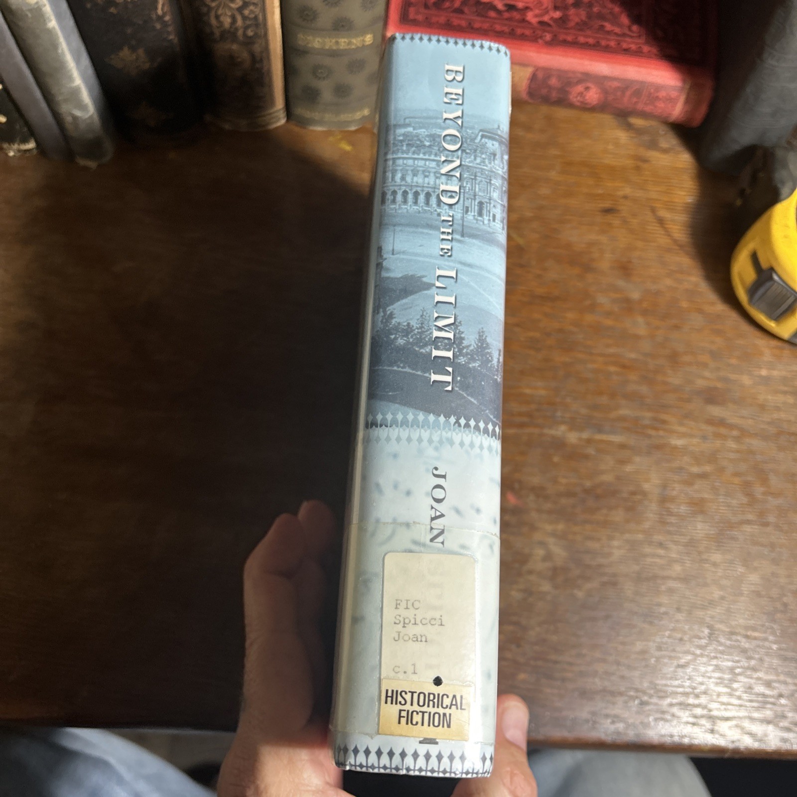 Beyond the Limit The Dream Sofya Kovalevskaya Spicci, Joan HCDJ 1st Ed 1st Print