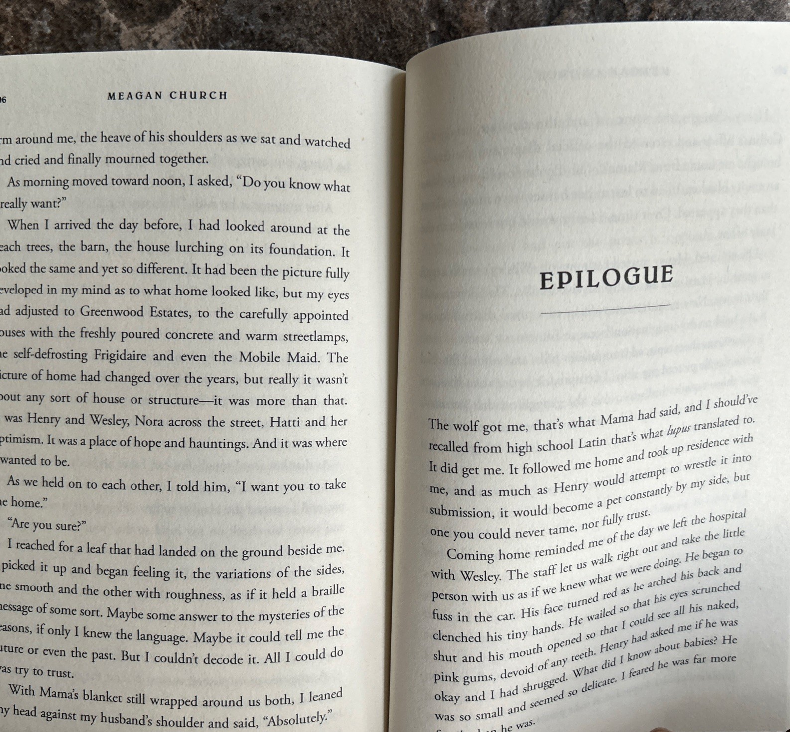 Mad Wife : A Novel by Meagan Church (2025, Trade Paperback)