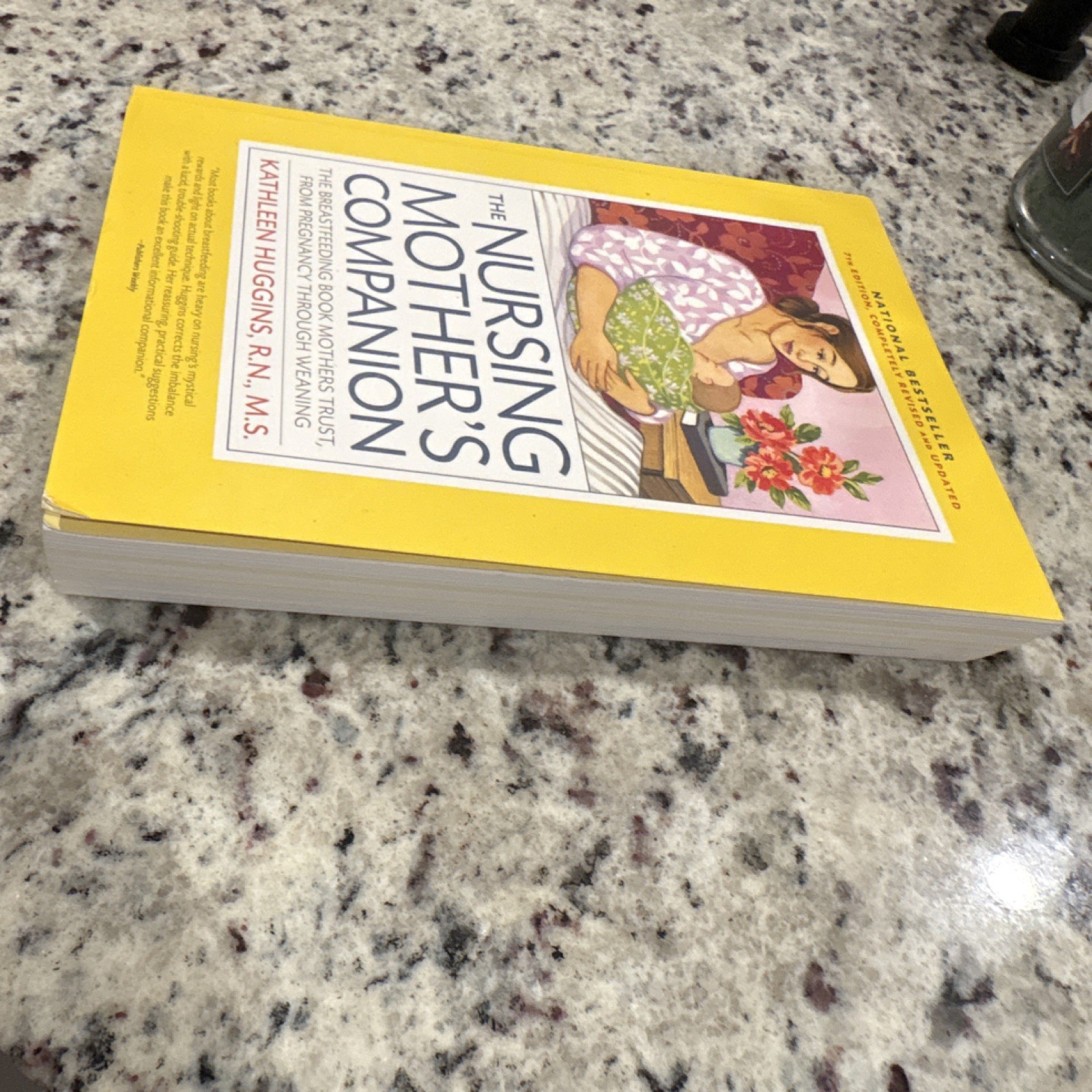 Harvard Common Press Nursing Mother’s Companion Kathleen Huggins PB 7th Ed Brea…