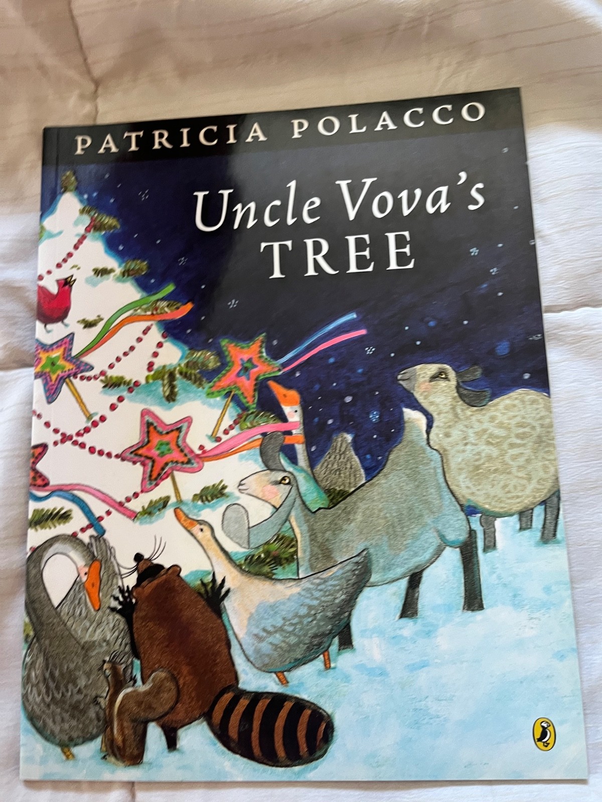 Patricia Polacco book collection – 24 books. – hard and soft back- Make an offer