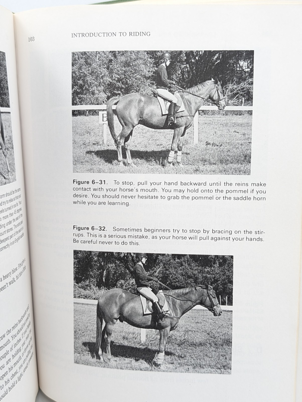 Teach Yourself To Ride A Horse Riding Vintage Horseback Training Equestrian Book