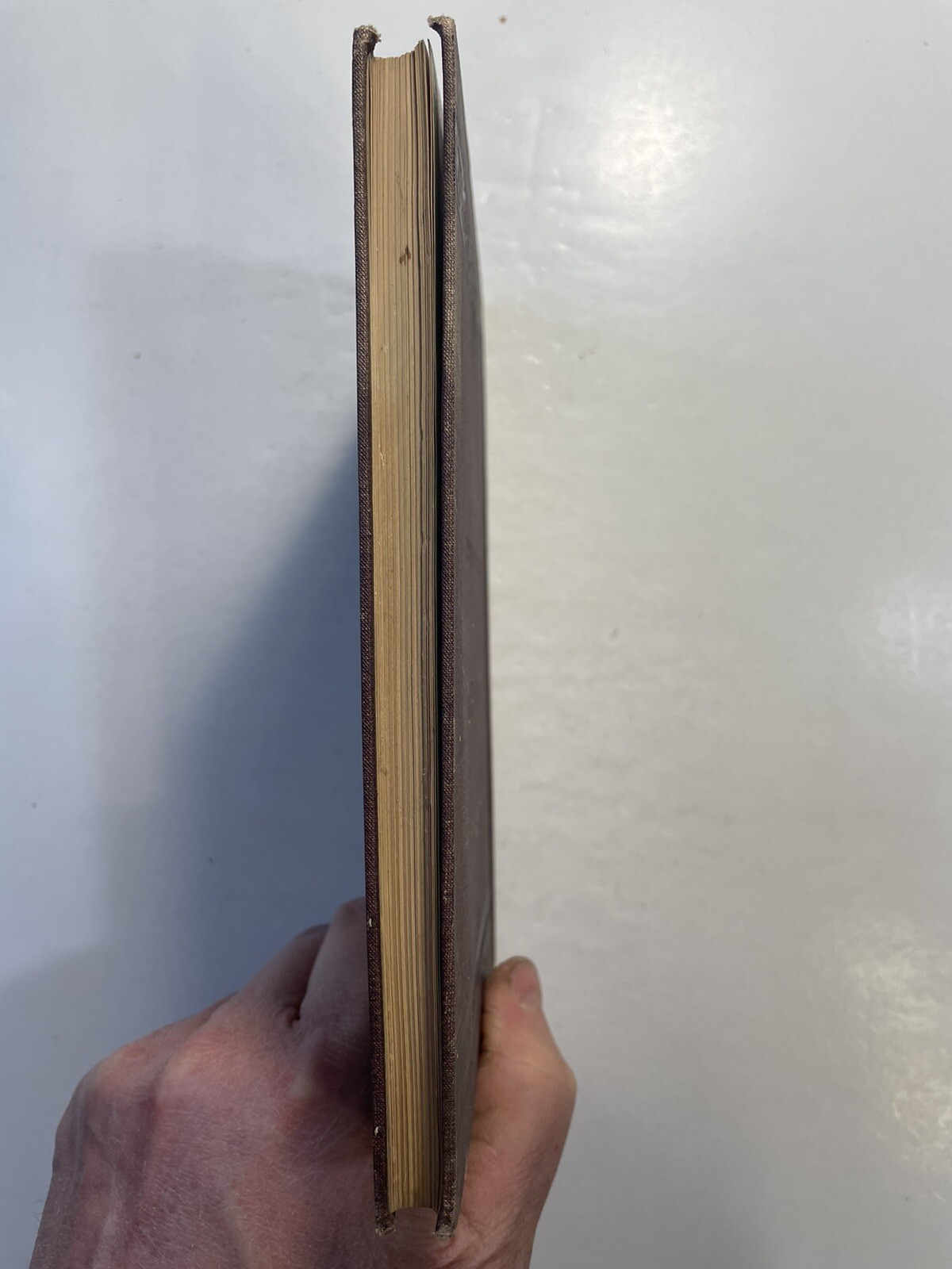 Light Mayer and Barnard D. Appleton and Company 1878 First Edition? Education