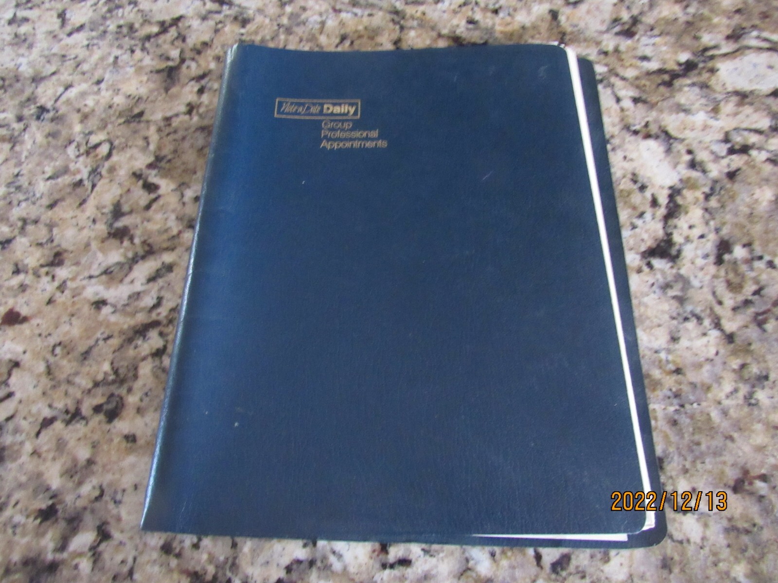 Note-a-Date Daily Group Professional Appointments Planner-Calendar- 125 2X-Pages