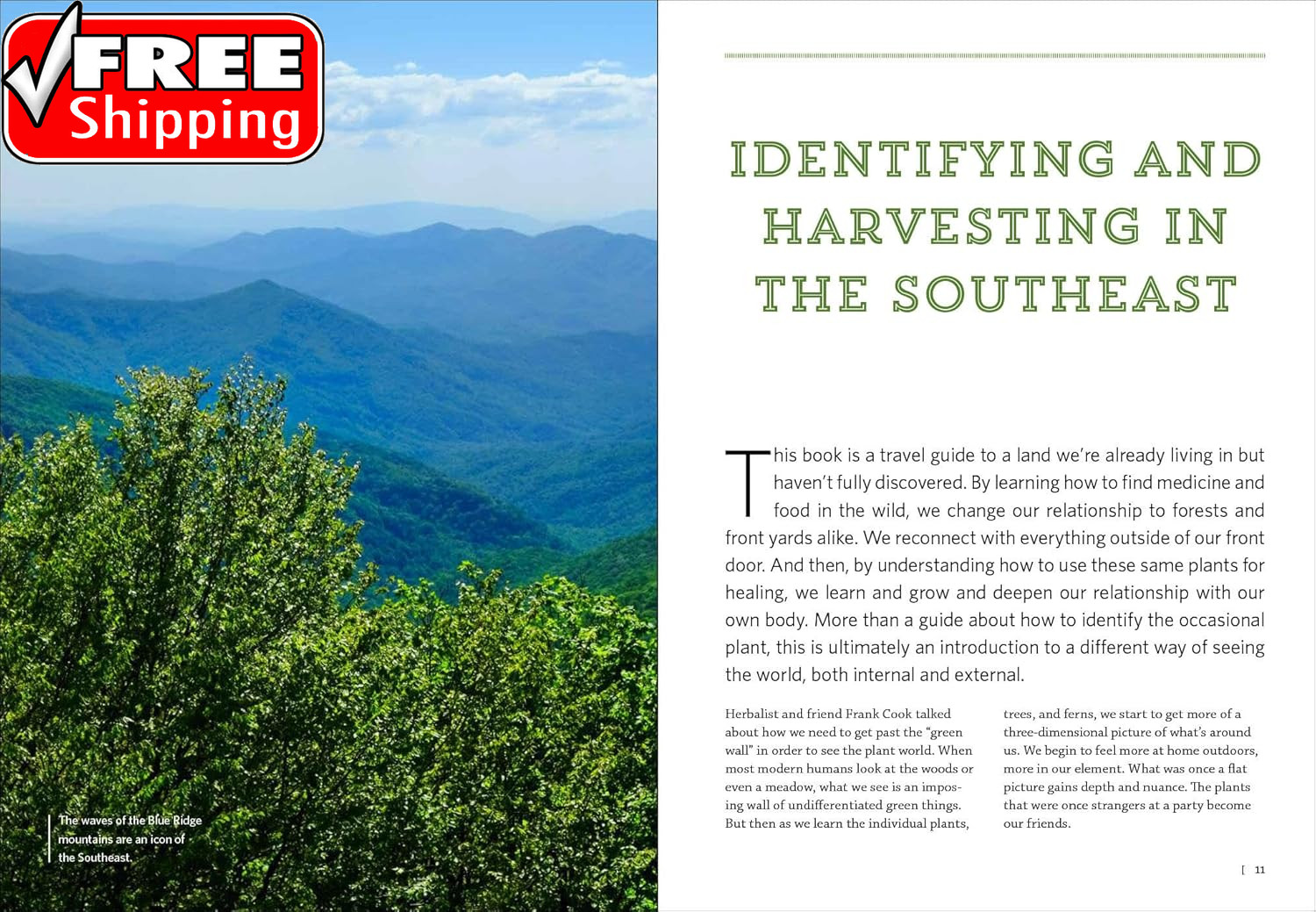 Southeast Medicinal Plants: Identify, Harvest, and Use 106 Wild Herbs for Health