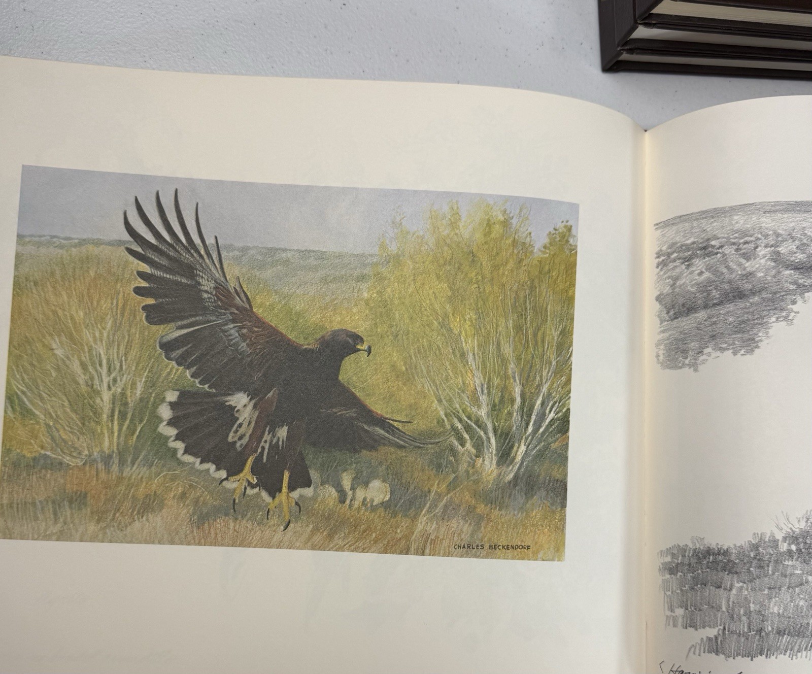 Charles Beckendorf Images of Texas II Collector’s Edition 1980