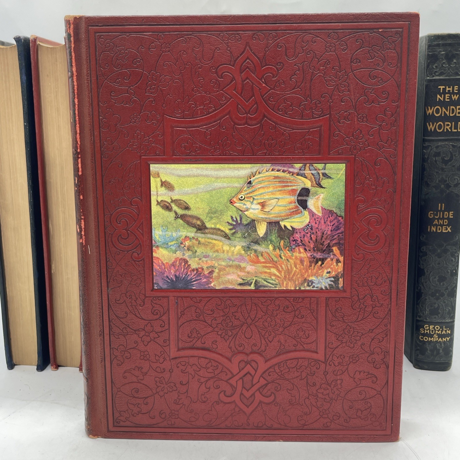 The New Wonder World Vol. 1-8 10&11 Set Geo. L. Shuman & Company Books