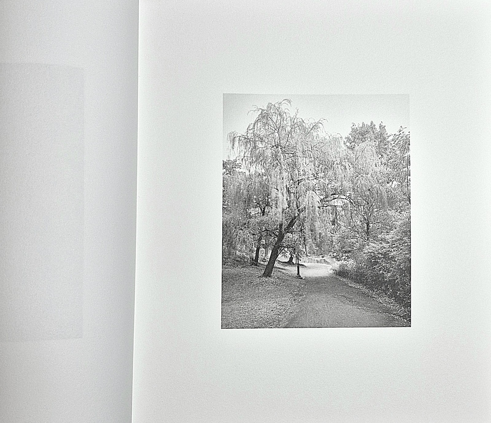 Donavon Smallwood · Languor (Trespasser · 2021 · 1st Edition) Black Portraiture