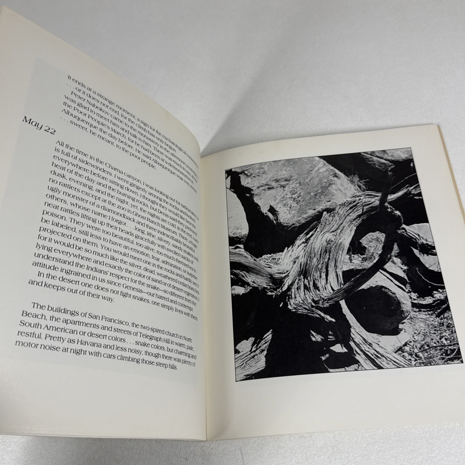 Woods Shore Desert A Notebook May 1968 Merton Thomas Paperback