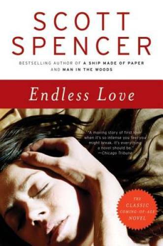 Endless Love: A Novel – Paperback By Spencer, Scott – GOOD