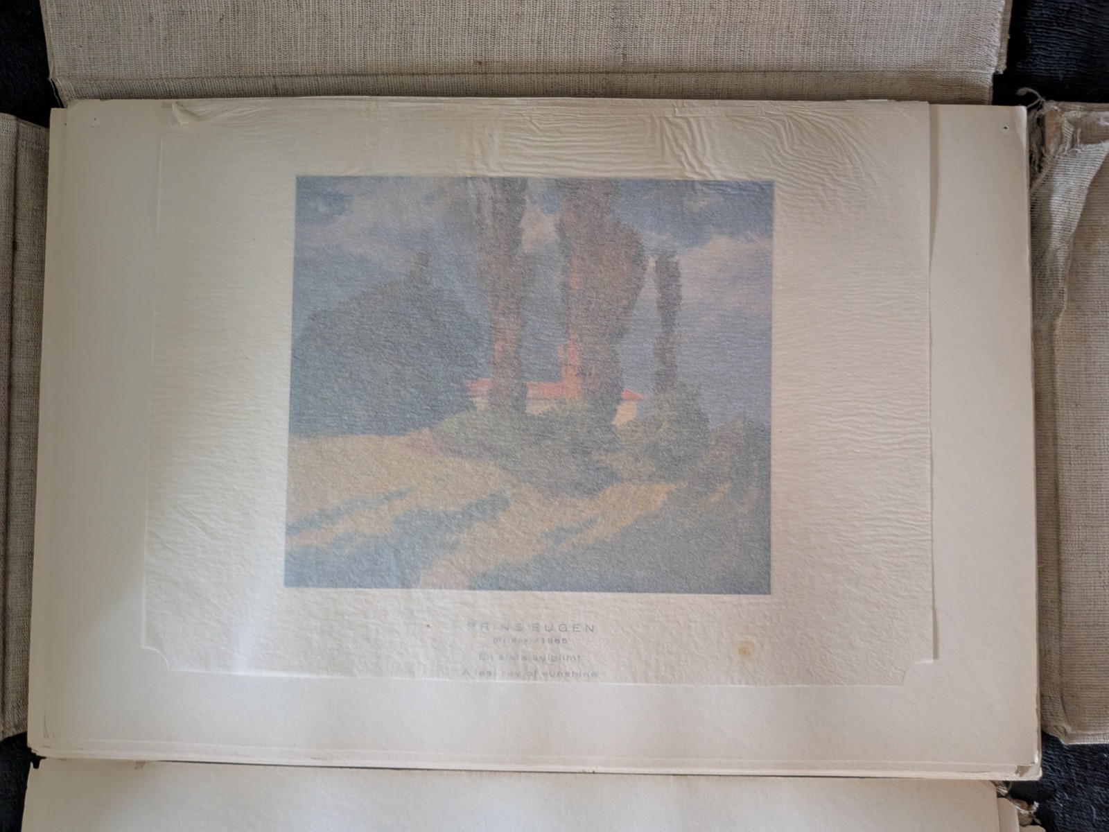 Beautiful SWEDEN : Collection of paintings of swedish landscapes by famous _Rare