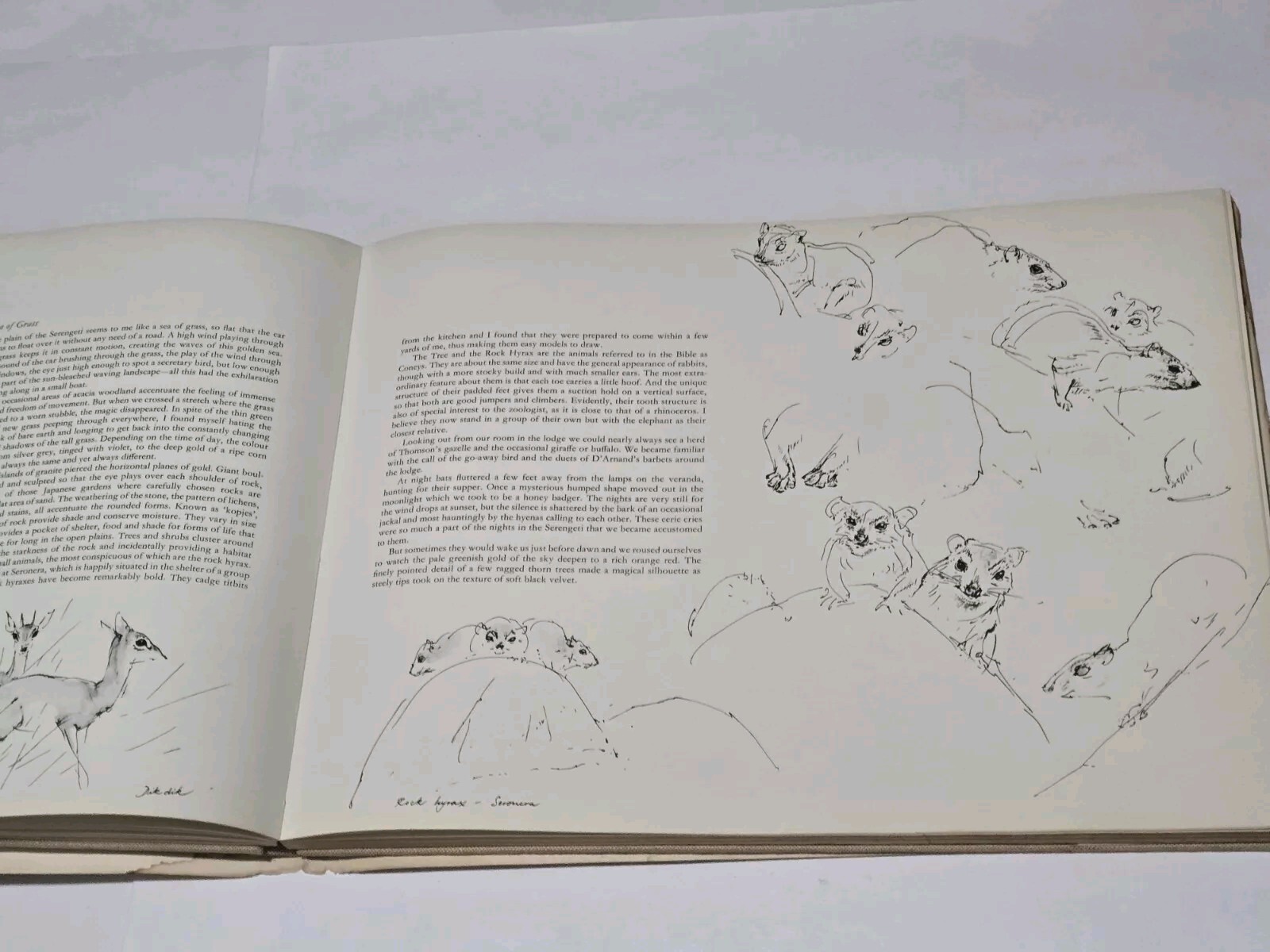 An Artist’s Safari By Ralph Thompson 1970 Hardcover DJ Artist Sketch Book