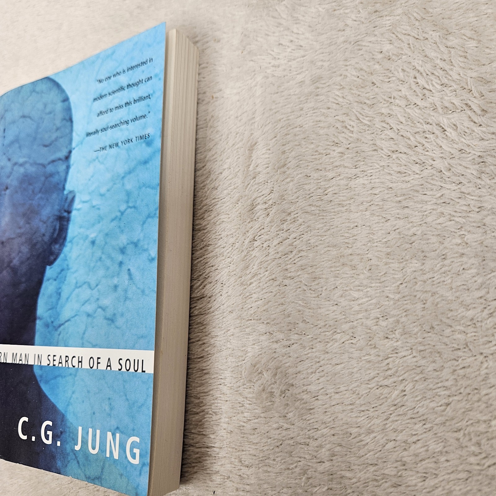Modern Man In Search Of A Soul By Carl G. Jung Paperback Psychology Spiritual
