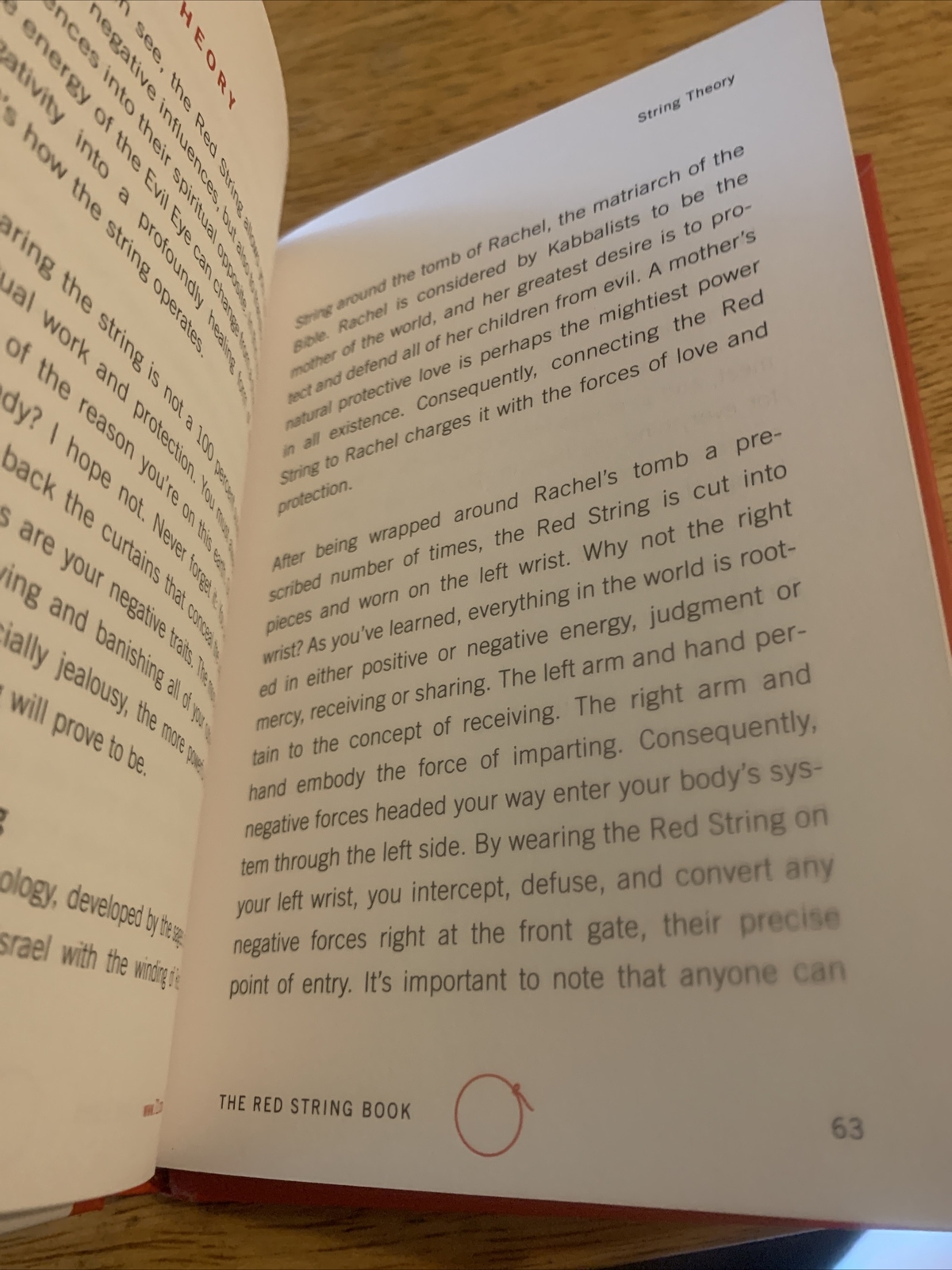 The Red String Book : The Power of Protection by Yehuda Berg (2008, Hardcover)