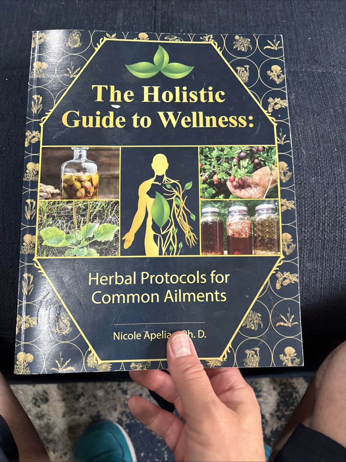 The Holistic Guide to Wellness by Nicole Apelian English Paperback Book
