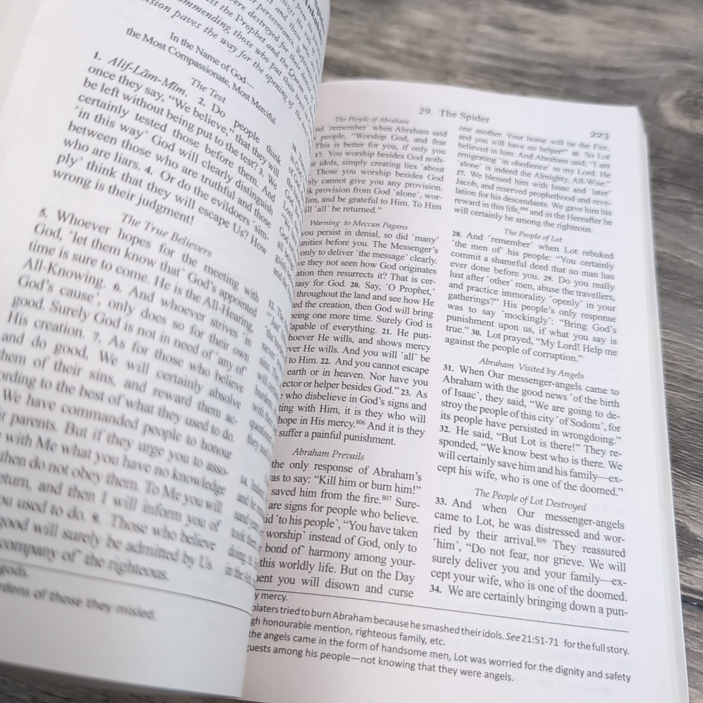 The Clear Quran : A Thematic English Translation of the Message Paperback Book