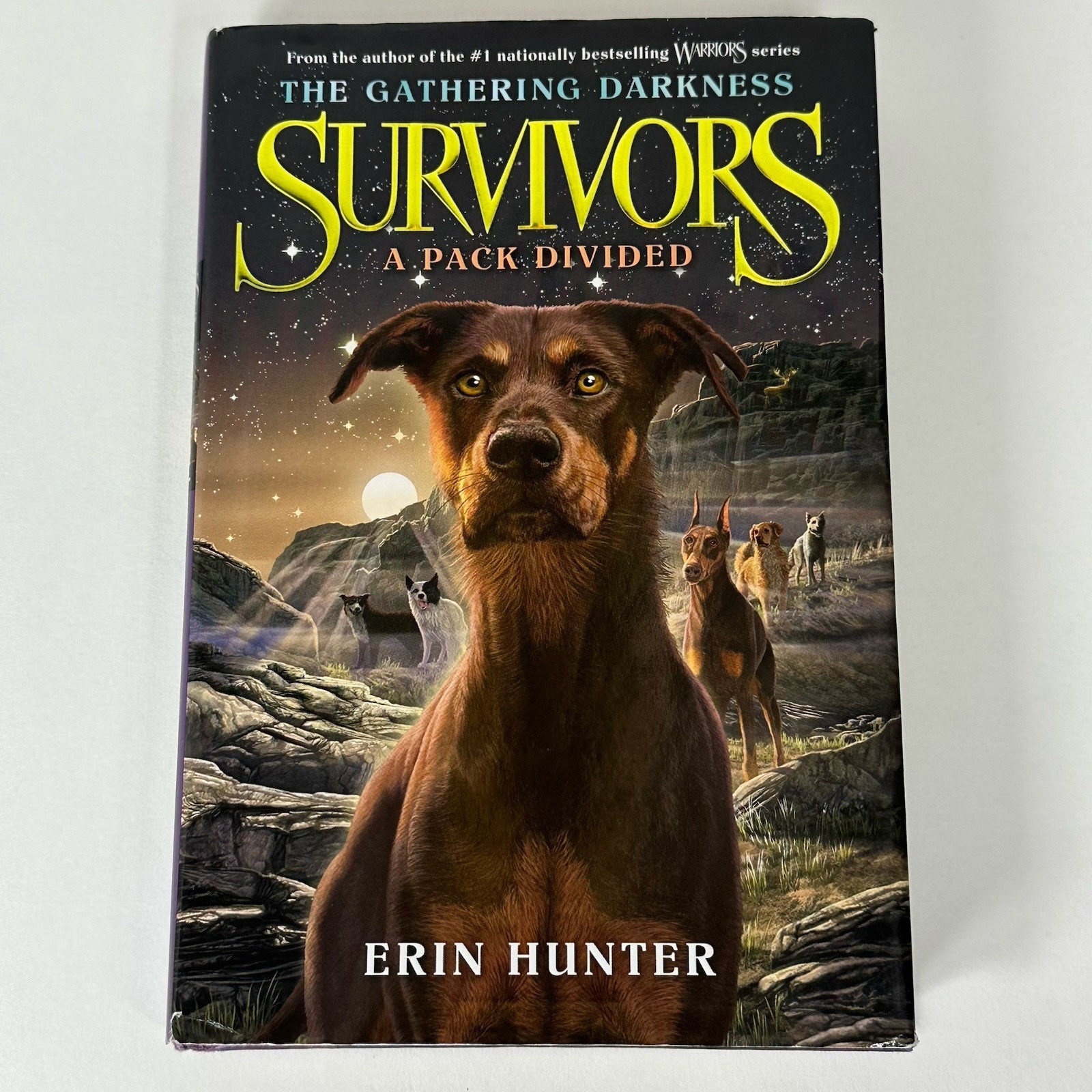 Survivors, Lot of 4 Books, Erin Hunter, Empty City & Storm of Dogs, Very Good