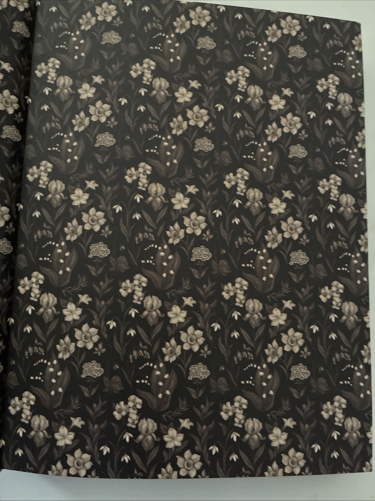 Floriography: An Illustrated Guide to the Victorian Language of Flowers