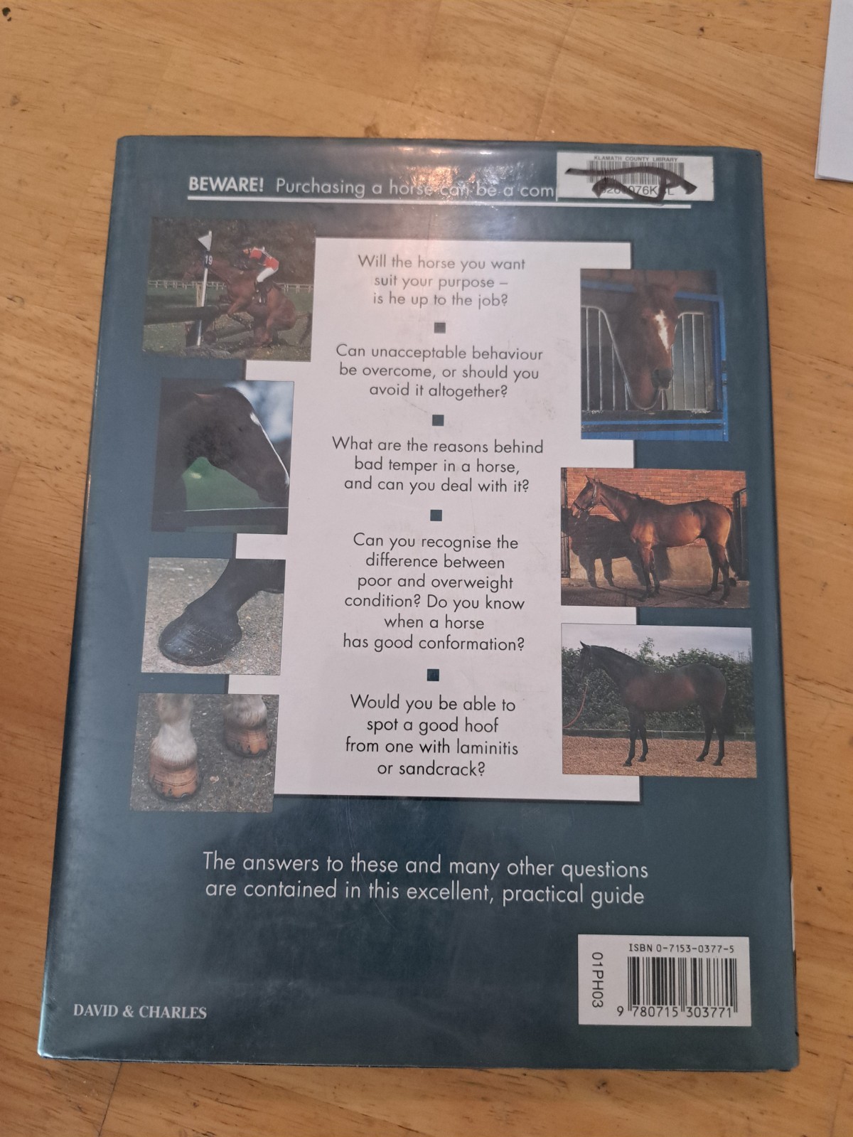 Lot of 5 Horse Books Equine Riding Training first aid Equestrian natural Care