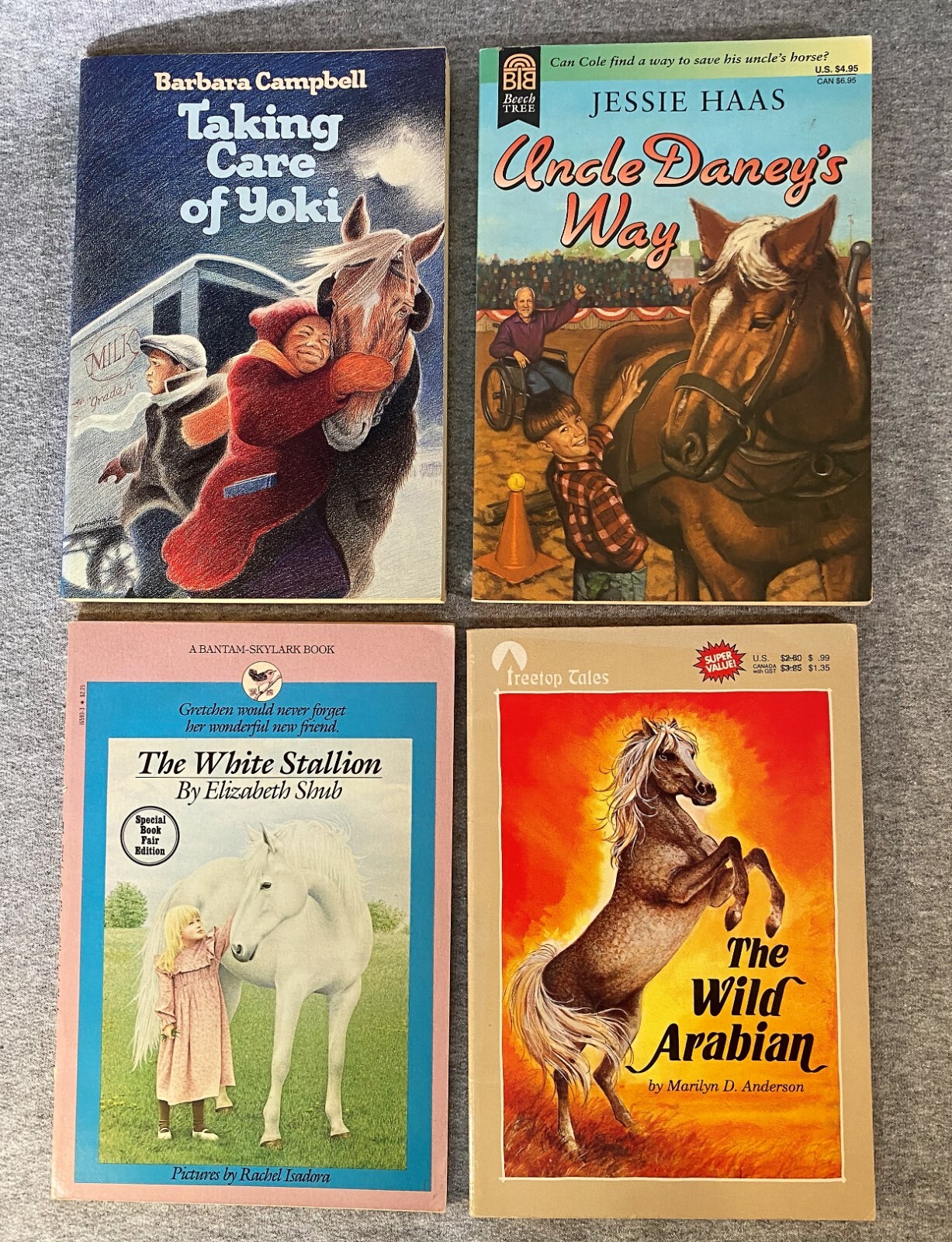 Horse Equestrian Books 29 in Lot 5HC & 24PB Chapter Picture Riding Veterinarian