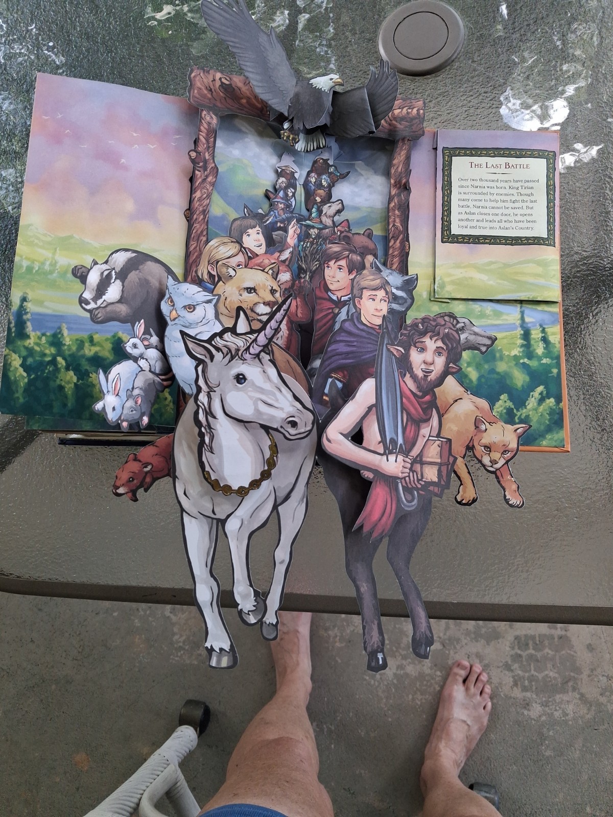 Chronicles of Narnia Pop-Up Book 2007 Hardcover Based on C.S. Lewis Fantasy Kids