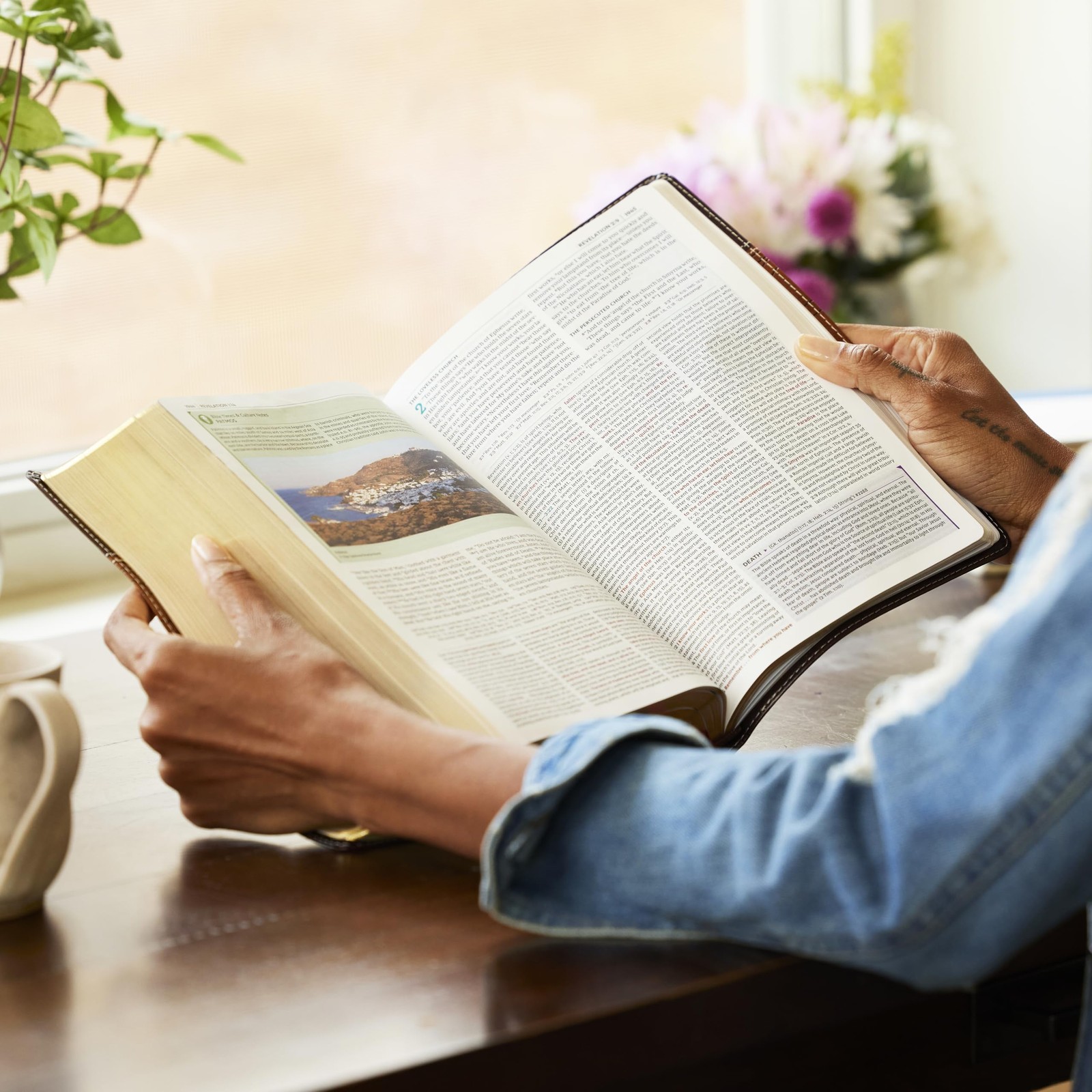 NKJV Study Bible, Hardcover, Burgundy, Full-Color, Comfort Print: The…