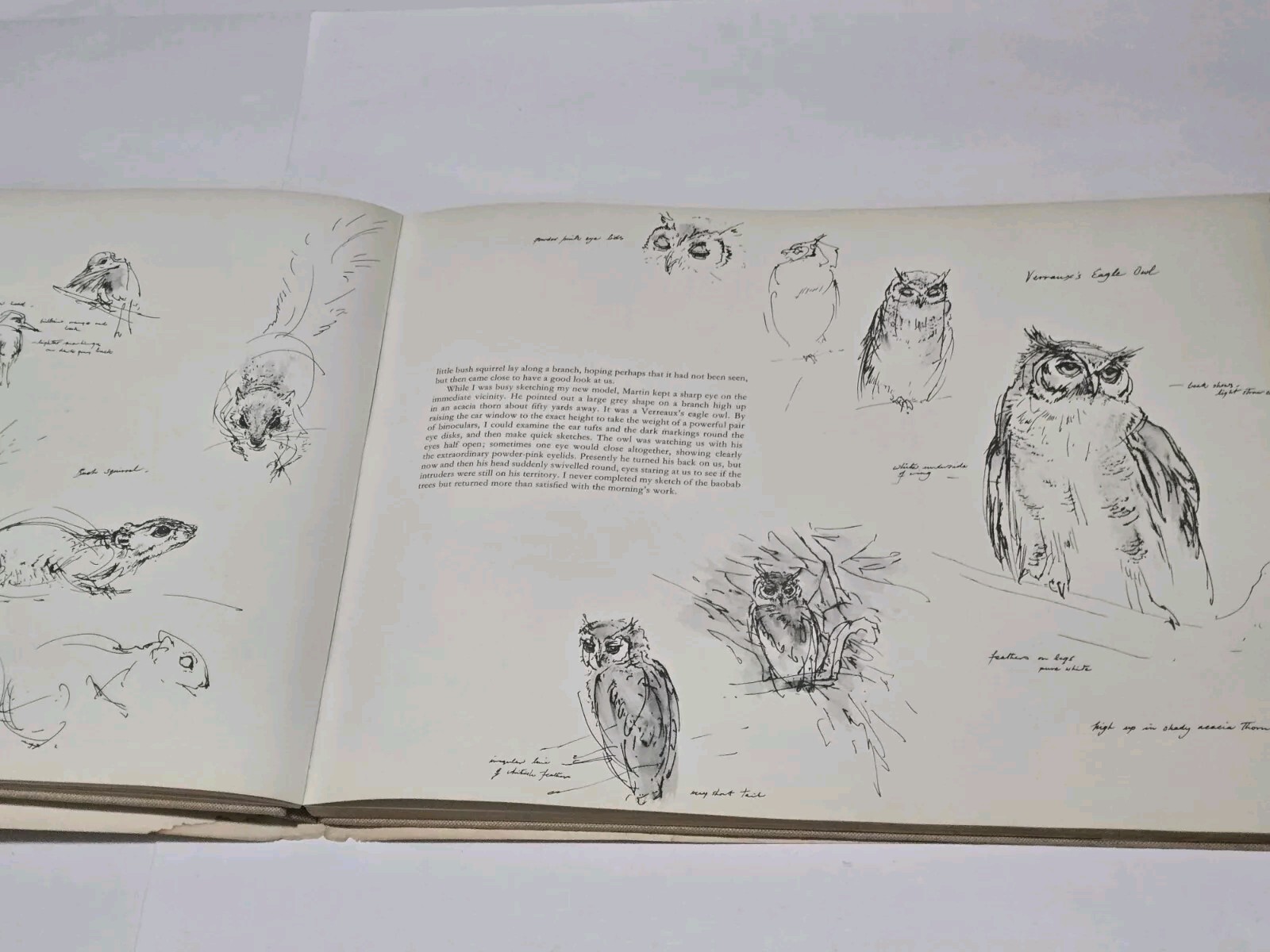 An Artist’s Safari By Ralph Thompson 1970 Hardcover DJ Artist Sketch Book