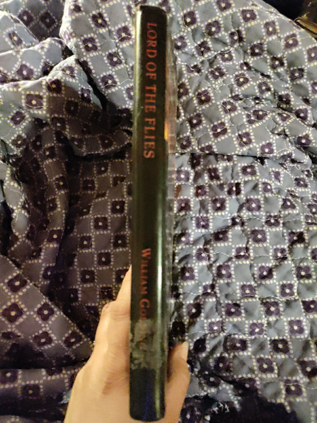 🔥Lord of the Flies by William Golding HB/DJ🔥