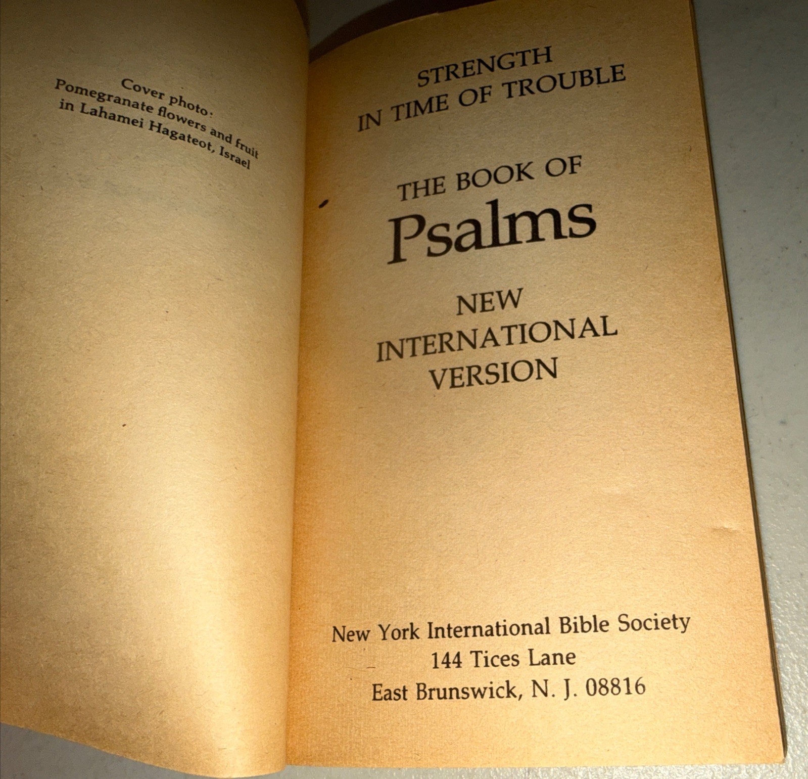 Strength in Time of Trouble: The Book of Psalms – 1978 Paperback