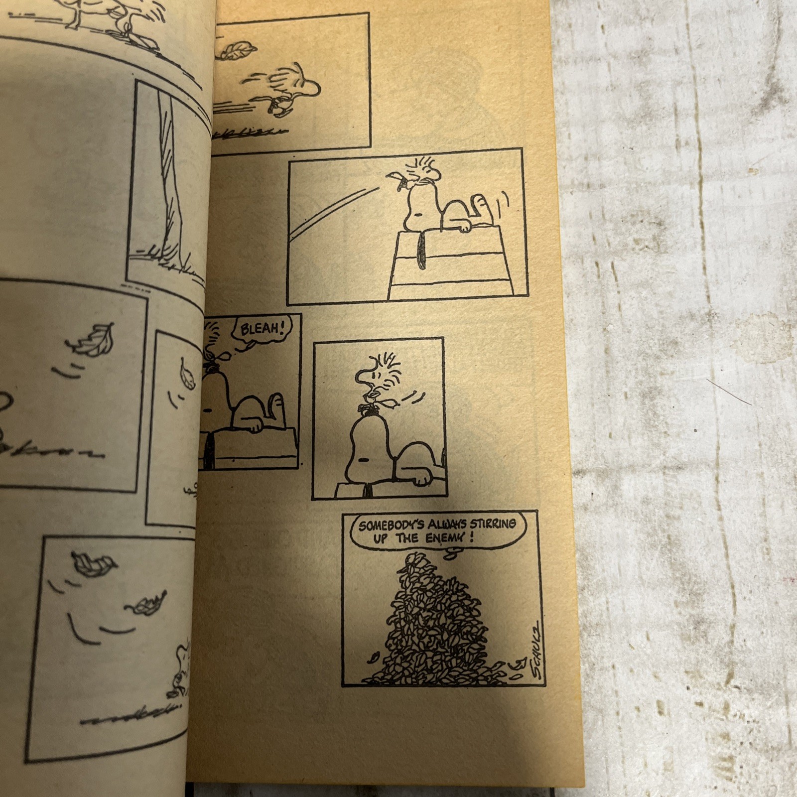 Play Ball Snoopy Selected Cartoons from Win a Few Lose a Few Charles Schulz 1974