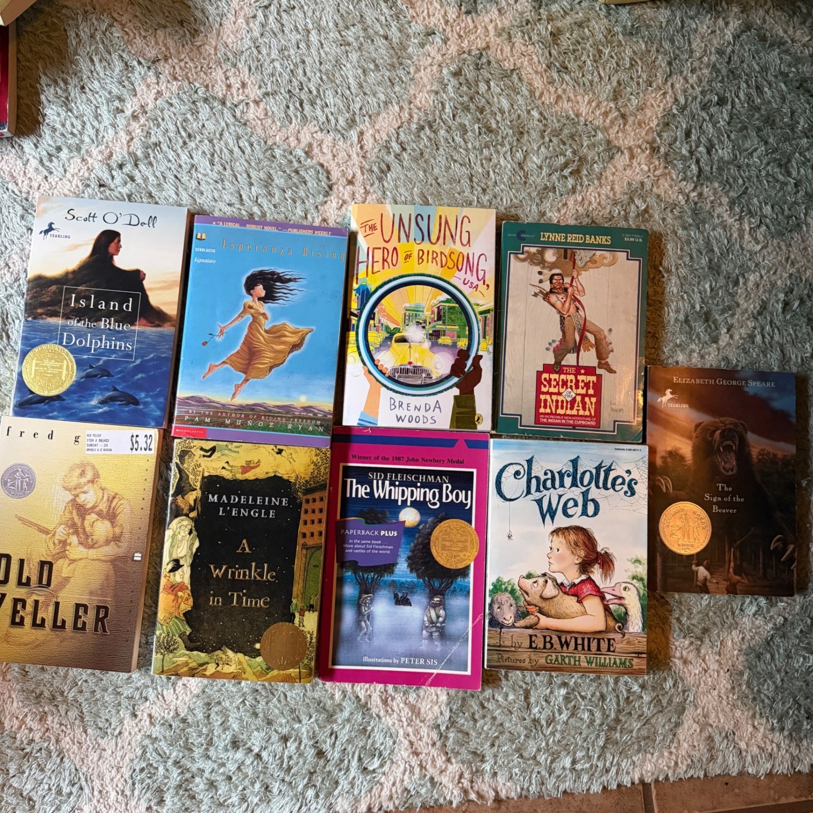 Lot 9 Childrens Books Newbery Winners Charlotte’s Web A Wrinkle In Time Mixed