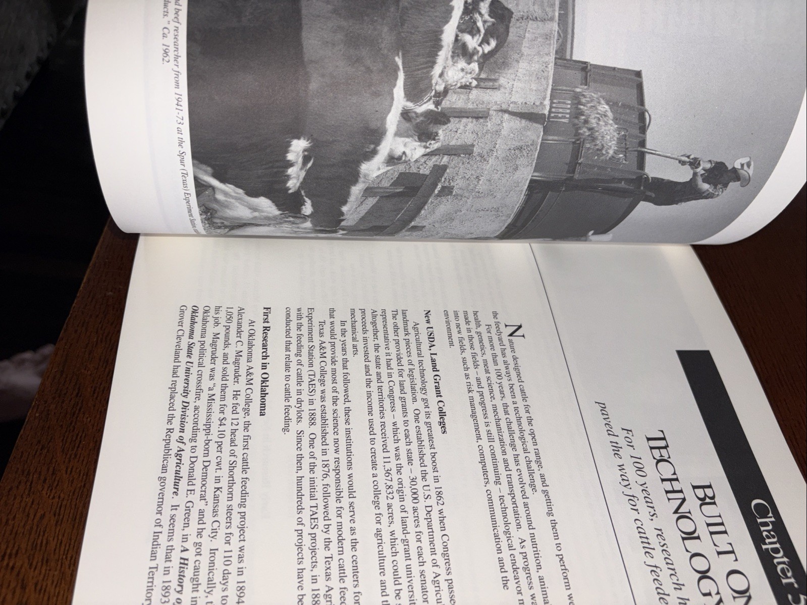 The Finishing Touch by Charles E. Ball/Texas Cattle Feeders 1992