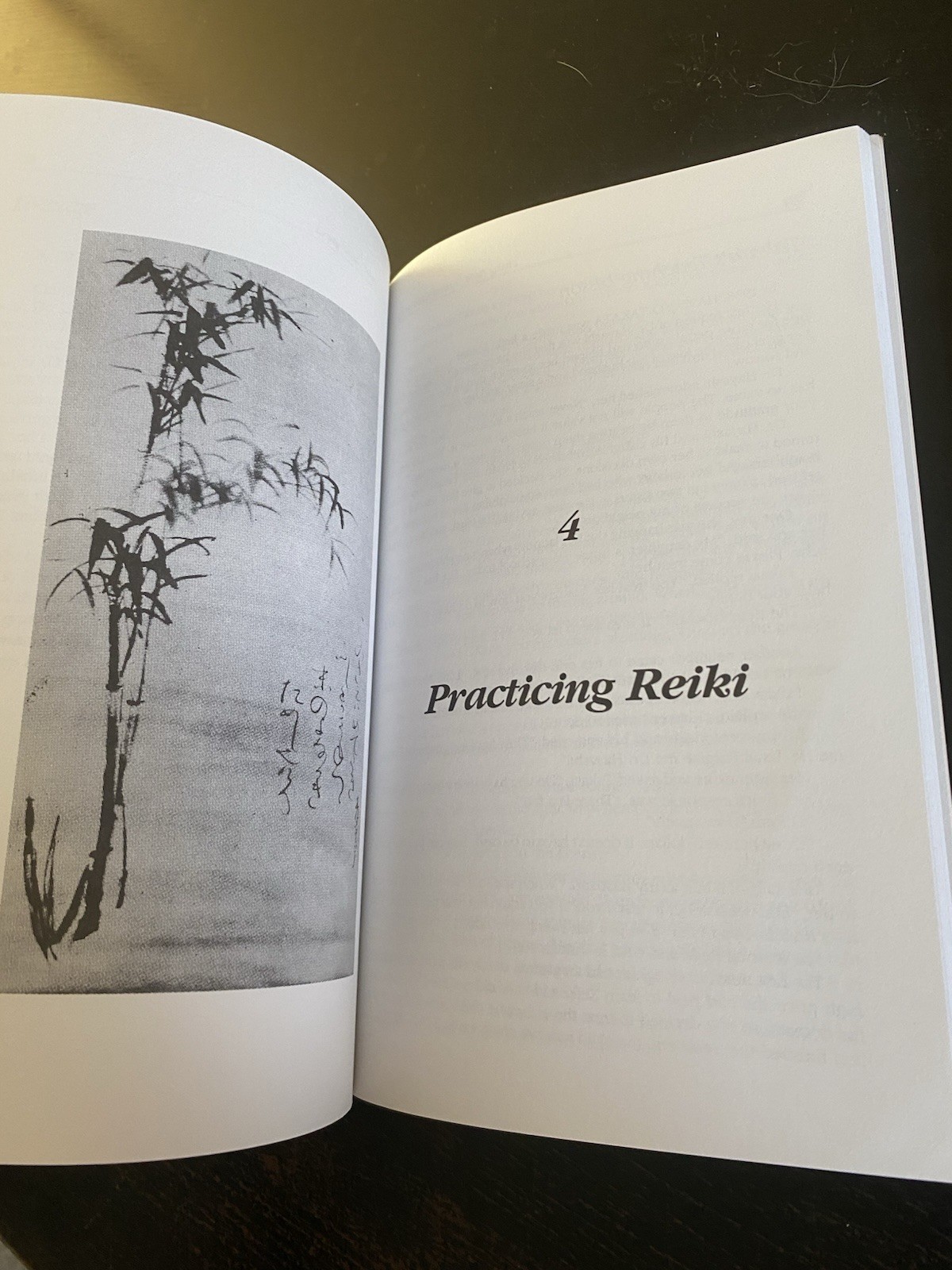 Living Reiki: Takata’s Teachings – Paperback By Brown, Fran – GOOD