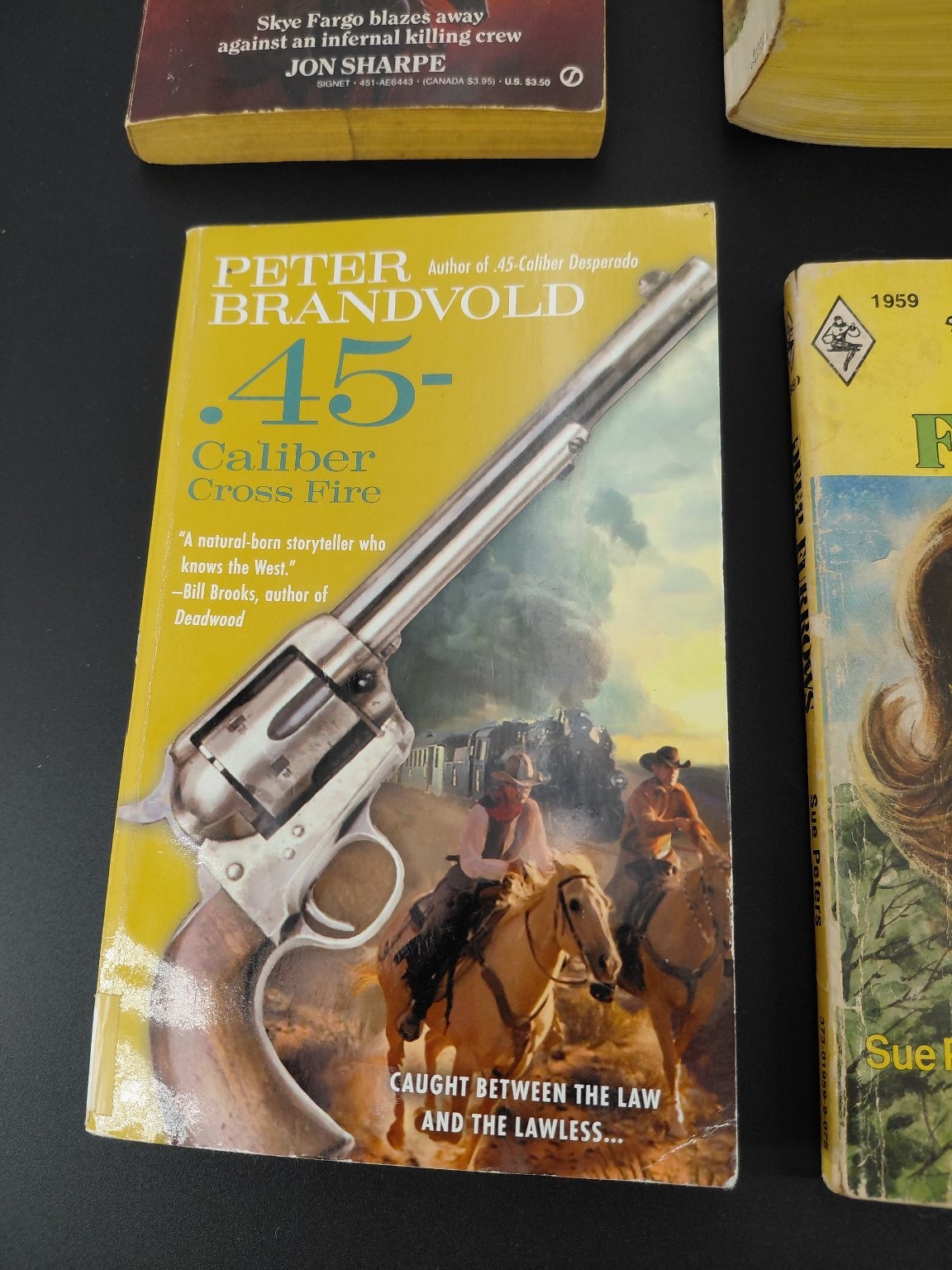 Western Adventure Fiction Books