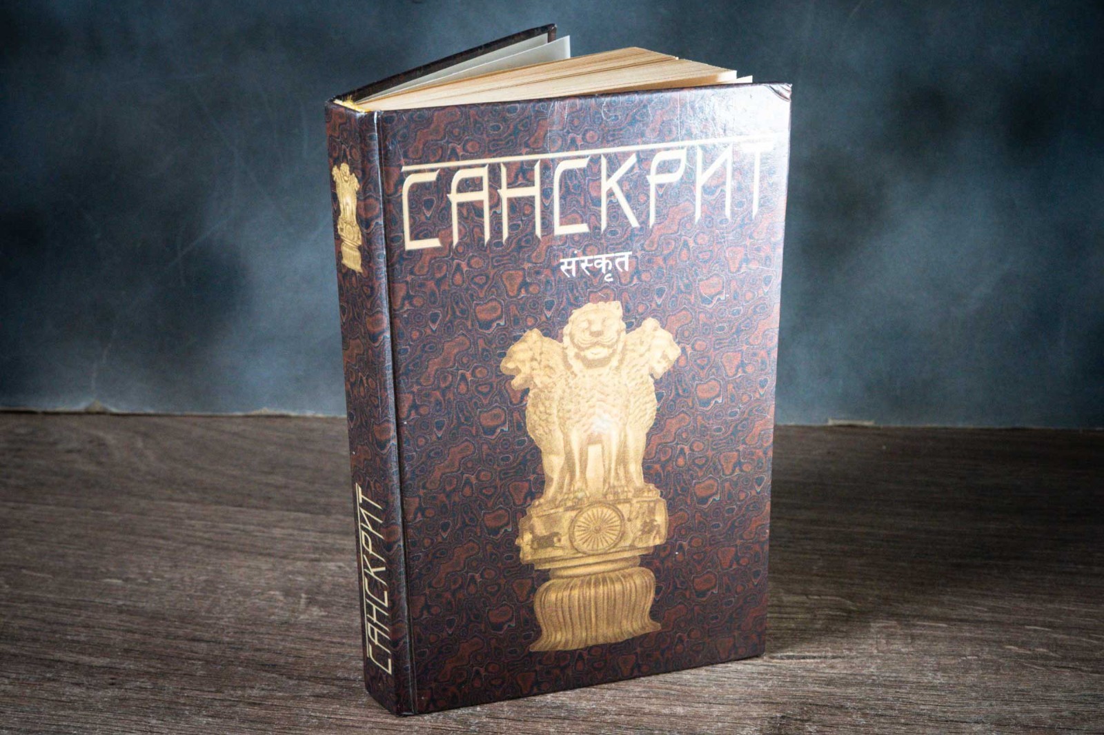 Санскрит Издательство Лань 2001 Sanskrit 480 pages
