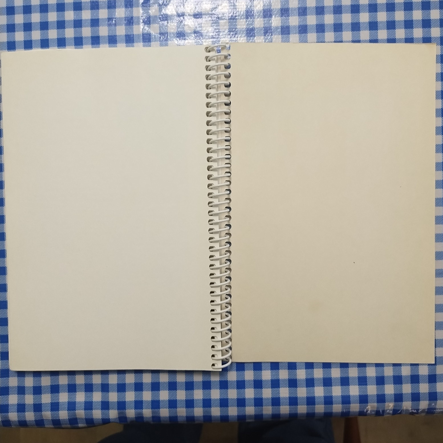 Old South Comfort Food Vintage Recipes From the 1930s-1940s Gail Cauble Gurley