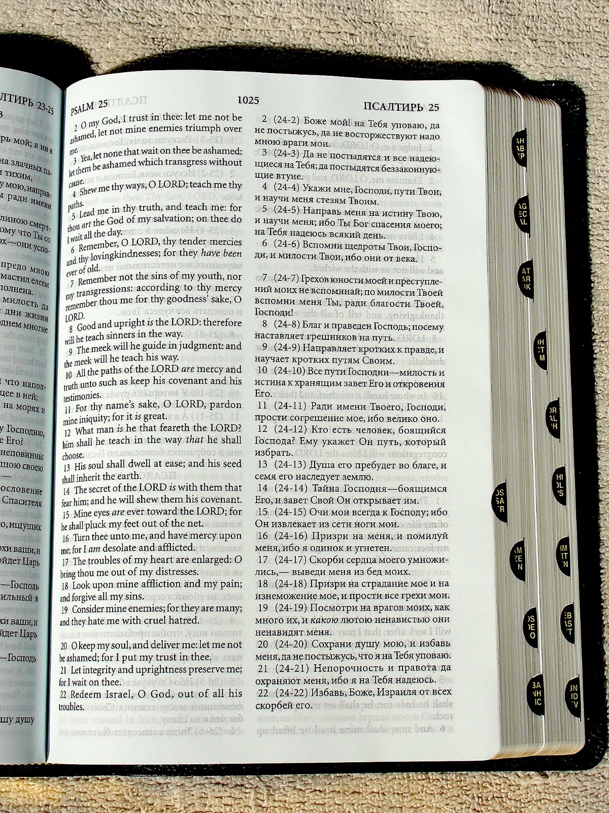 Russian/English Parallel Bible, Blue Bonded Leather, Synodal/King James Version