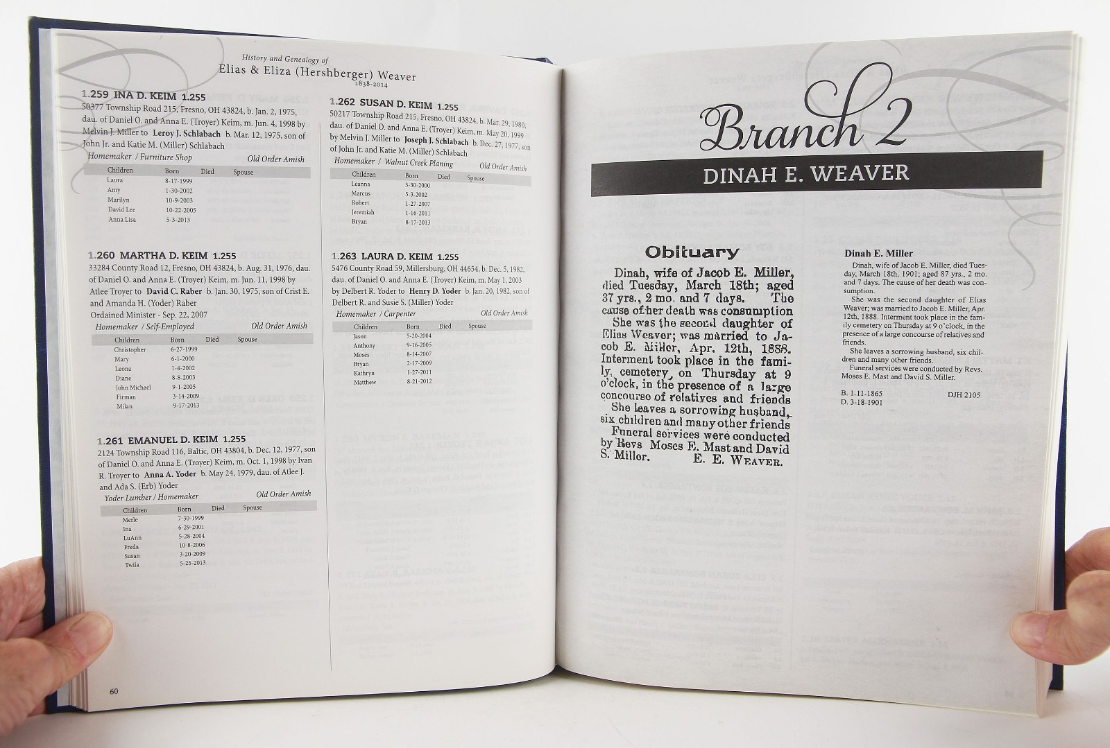 History & Genealogy of Elias & Eliza (Hershberger) Weaver, 1838-2015 – Genealogy