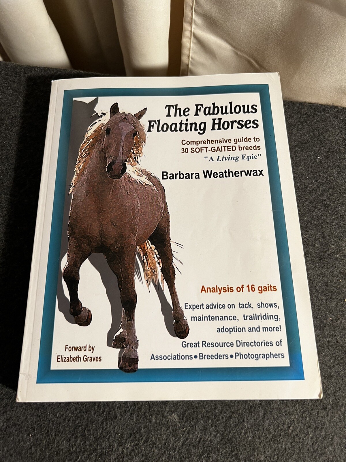 THE FABULOUS FLOATING HORSES By Barbara Weatherwax SC signed!