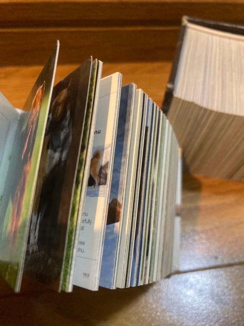 !Cute cube book, foreign book, mini book, interior
