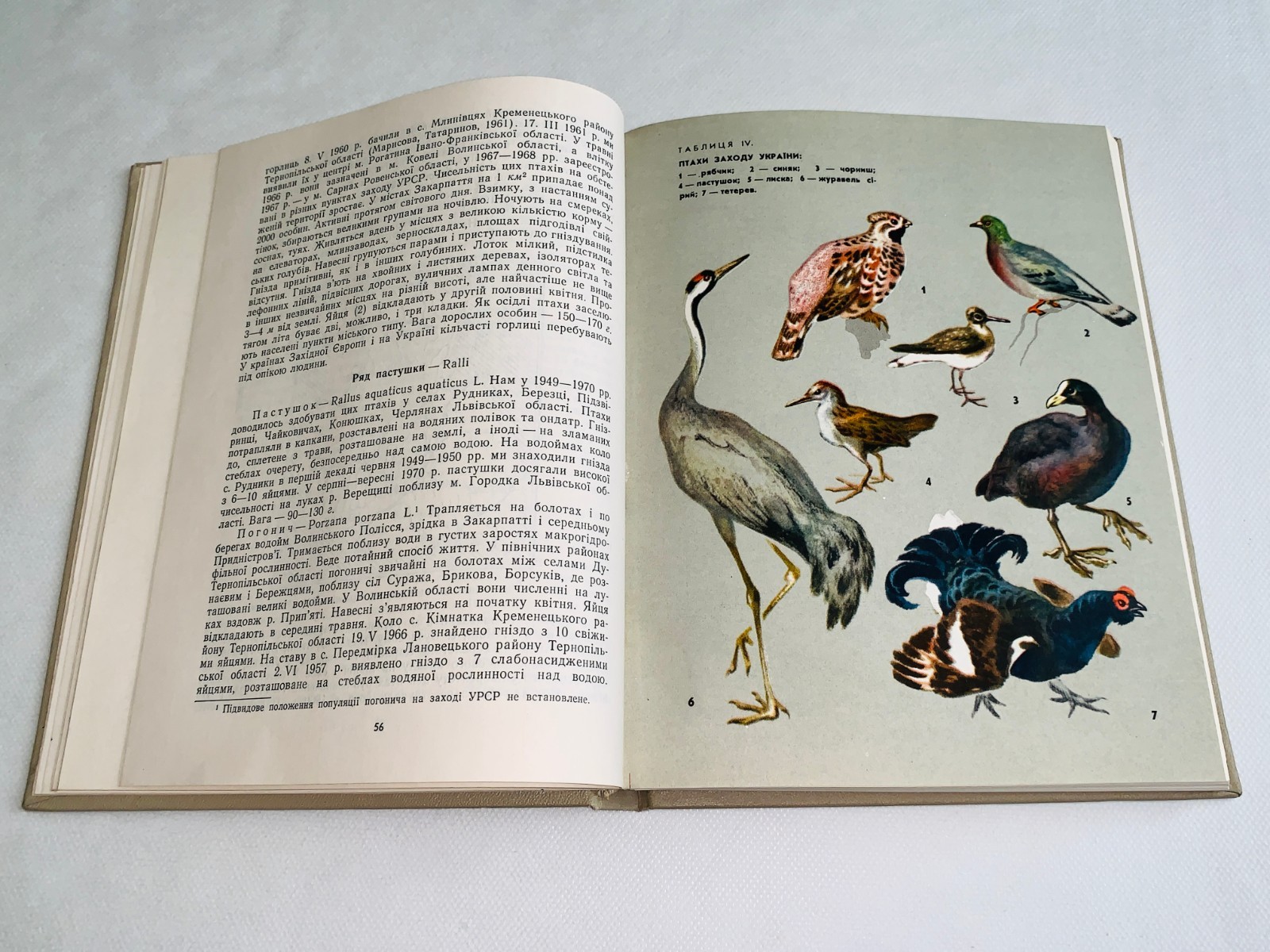 Фауна Західної України Хребетні / Fauna of Vertebrates of the Western Ukraine